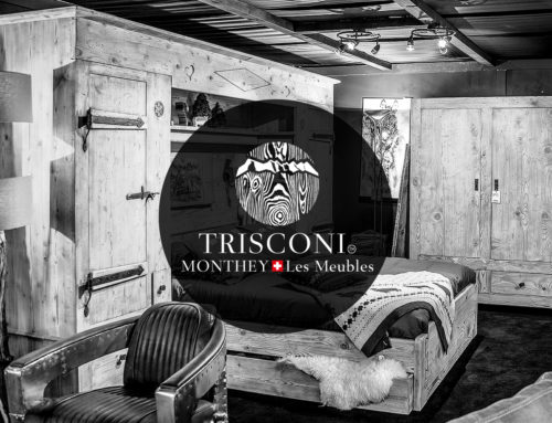 Trisconi Meubles SA
